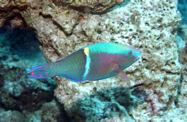 DSC_0002_edited-1