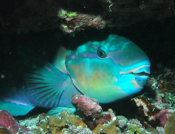 DSC_0021_edited-1