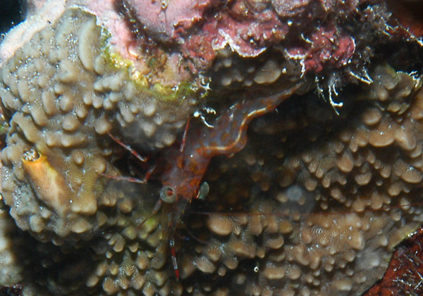 DSC_0023_edited-1