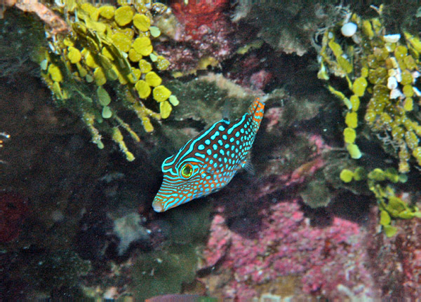 DSC_0033_edited-1