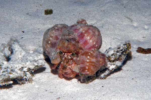 DSC_0039_edited-1-1
