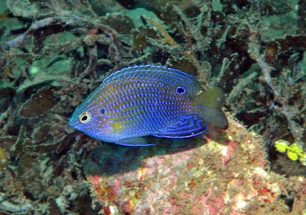 DSC_0041_edited-1