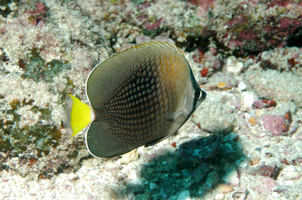 DSC_0044_edited-2