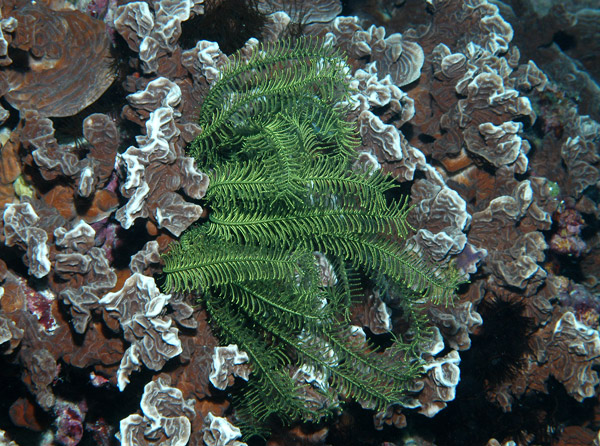 DSC_0047_edited-1