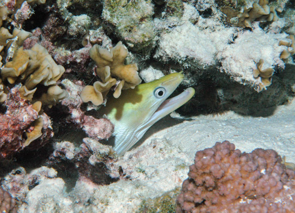 DSC_0049_edited-1-1