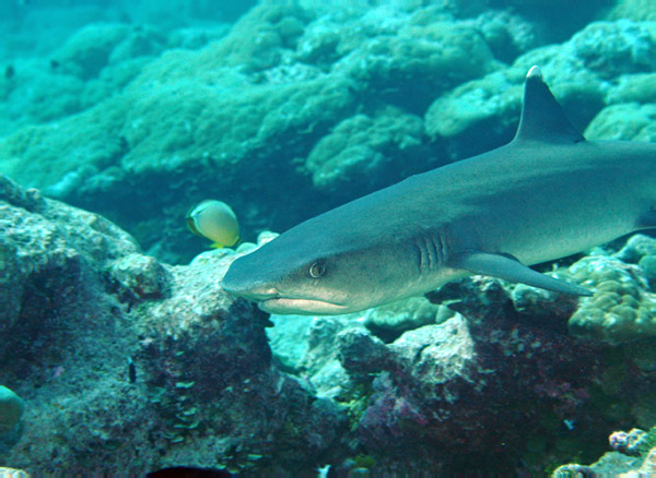 DSC_0107_edited-1