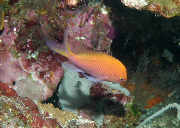 DSC_0160_edited-1
