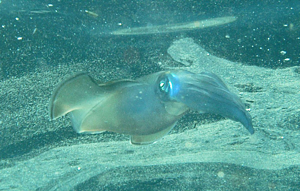 DSC_0174_edited-2