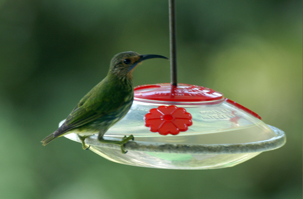 DSC_0167_edited-1