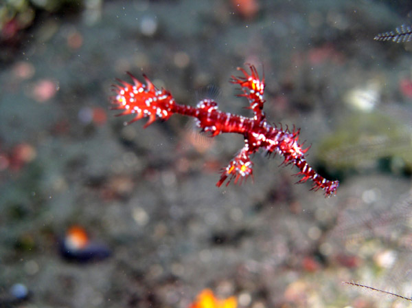 P9170021_edited-1