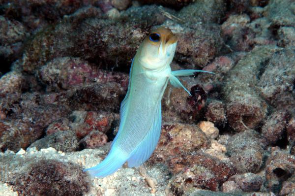 DSC_0008_edited-1-2