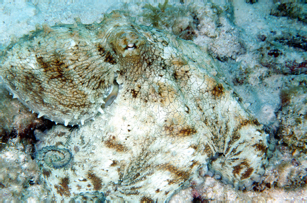 DSC_0016_edited-1-2