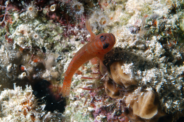 DSC_0027_edited-1-1