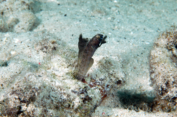 DSC_0036_edited-2